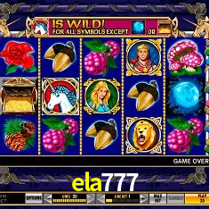 A Emoção da Loteria na ela777: Uma Chance de Mudança de Vida